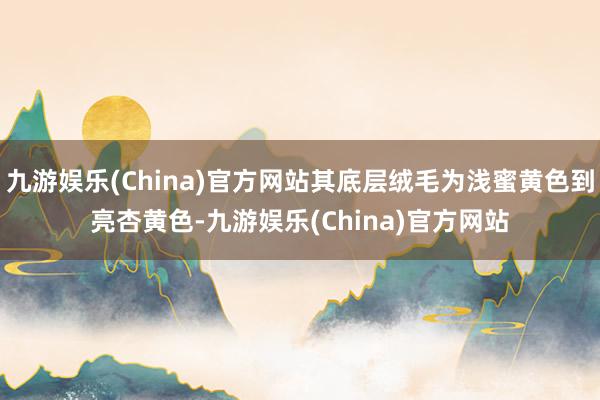 九游娱乐(China)官方网站其底层绒毛为浅蜜黄色到亮杏黄色-九游娱乐(China)官方网站