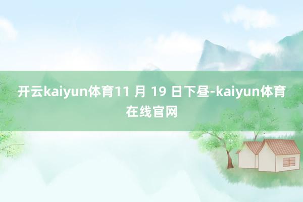 开云kaiyun体育11 月 19 日下昼-kaiyun体育在线官网