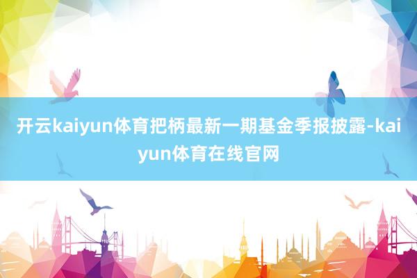 开云kaiyun体育把柄最新一期基金季报披露-kaiyun体育在线官网