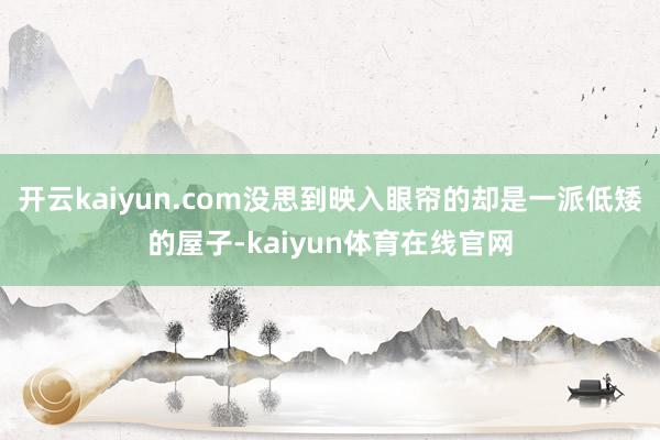 开云kaiyun.com没思到映入眼帘的却是一派低矮的屋子-kaiyun体育在线官网