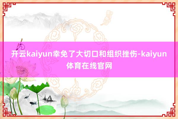开云kaiyun幸免了大切口和组织挫伤-kaiyun体育在线官网